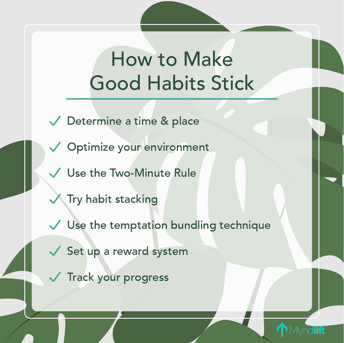 Healthy Habits: A Practical Guide to Making Them Stick